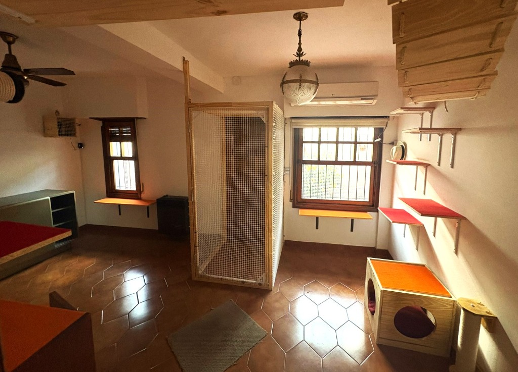 Espacio Común — Sala principal