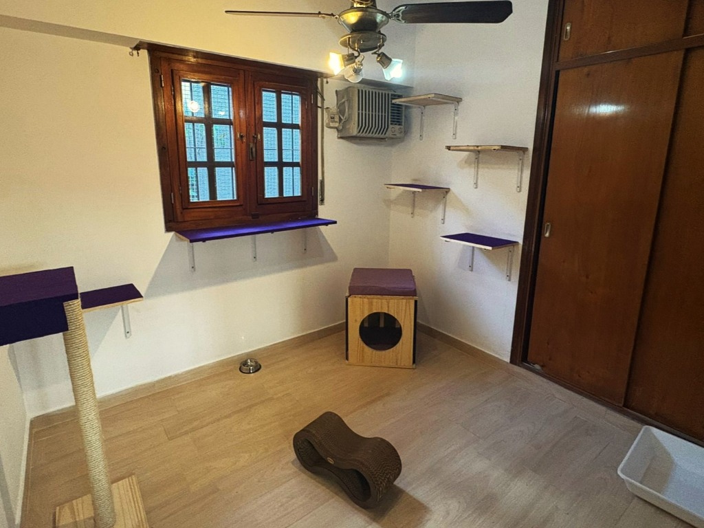 Habitación Felina 2 — Vista general