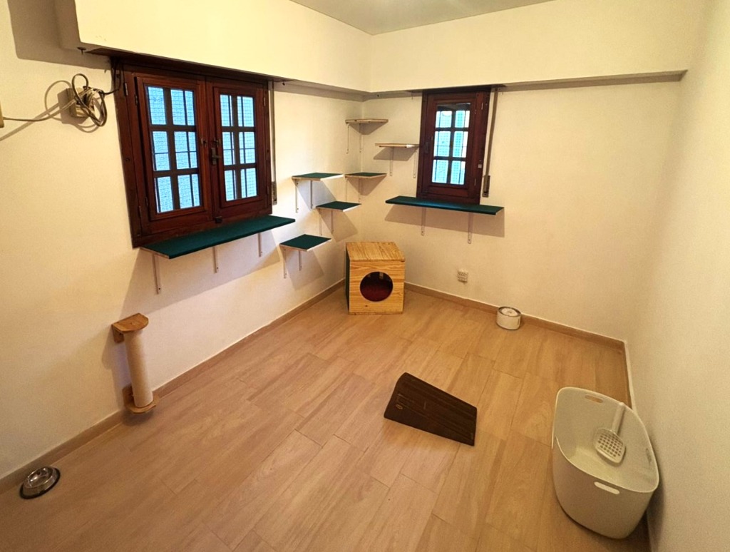 Habitación Felina 3 — Vista general