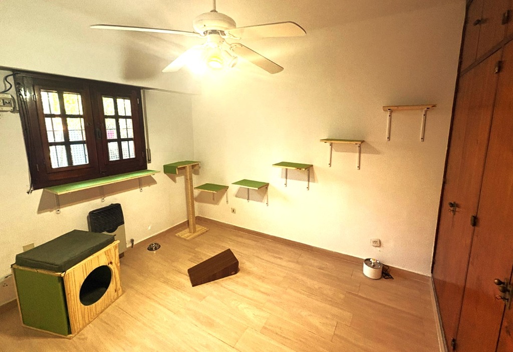 Habitación Felina 4 — Vista general
