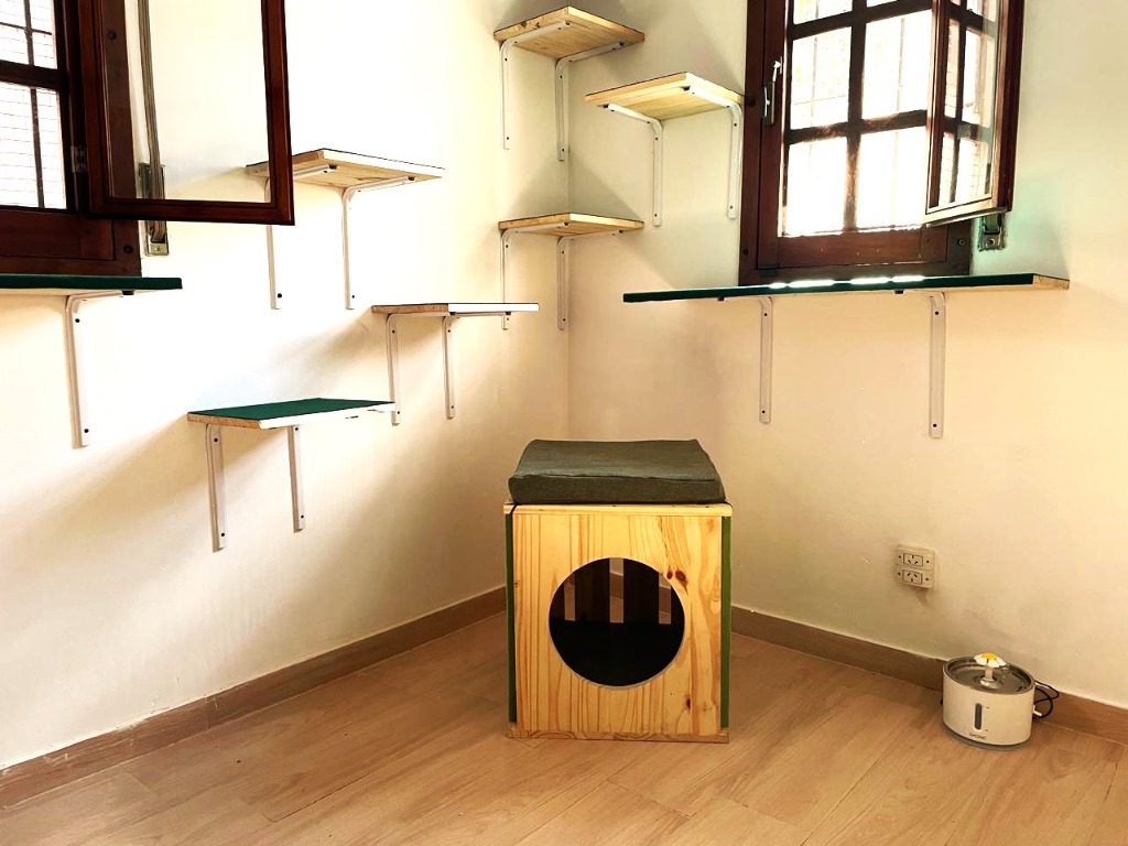 Suite Felina 3 - Vista 3